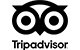 ta-icon